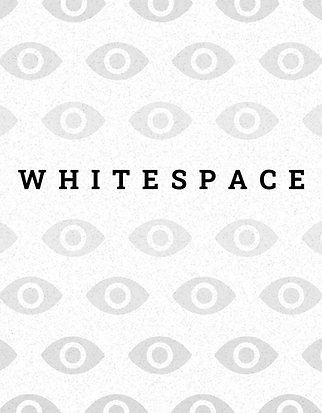 WhiteSpaceBannerv2-01.png